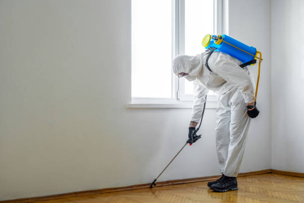 Best Termite Control Services  in Harwich Port, MA