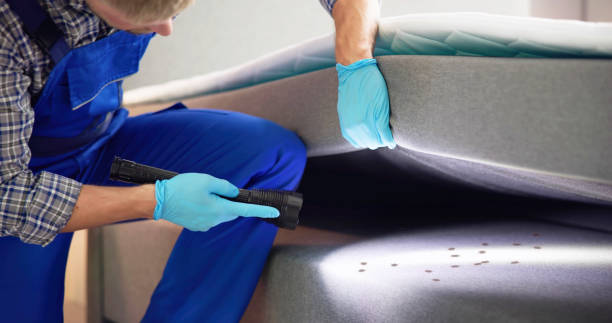 Best Pest Control Near Me  in Harwich Port, MA