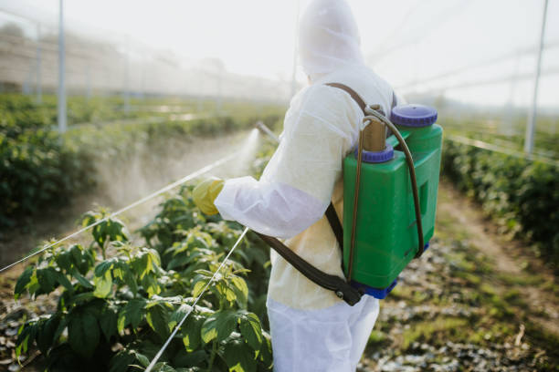Pest Prevention Services in Harwich Port, MA